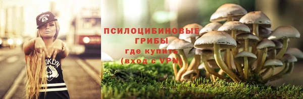 PSILOCYBIN Армянск