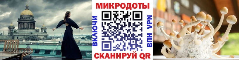omg   Полевской  Псилоцибиновые грибы MAGIC MUSHROOMS 